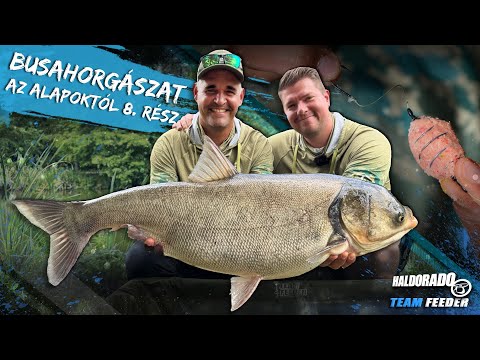 Sipos Gábor - Busahorgászat az alapoktól 8. rész - A Holt-Maros busái