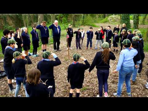 Grande Urlo dopo le Promesse - Lupetti Mirano Branco Occhio di Primavera