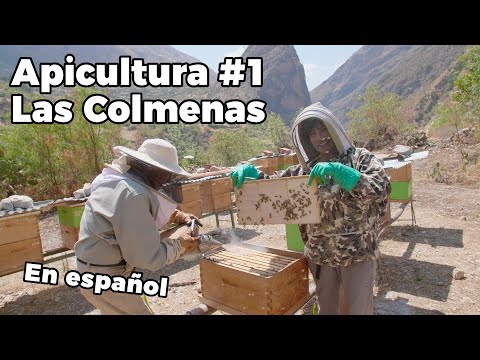 Apicultura - #1 Las colmenas