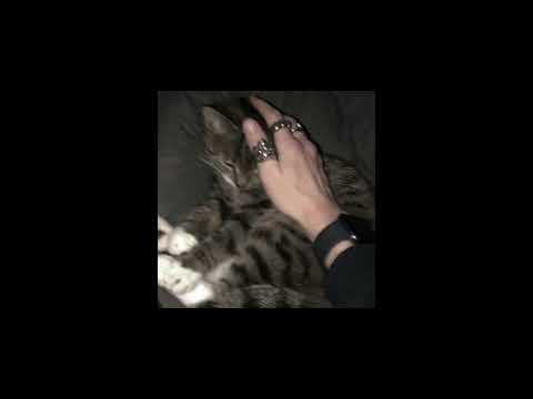 candy in my ears- (speed up )..