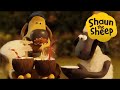 Shaun The Sheep Full Episode The Coconut El Coco Nuts Adventure Cartoon For Kids