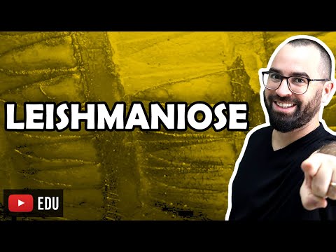 Leishmaniasis - Class 16 - Module IV: Microbiology, Fungi and Protists | Prof Gui