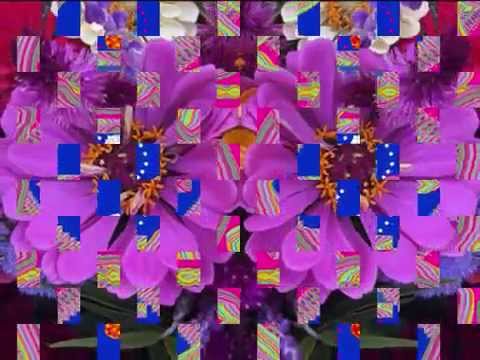 Hey Joe (by  Bap Kennedy's Trio live in Italy 2014)