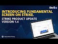 Introducing Fundamental Screen on STRIKE! Elevate your analysis with consolidated & standalone data.