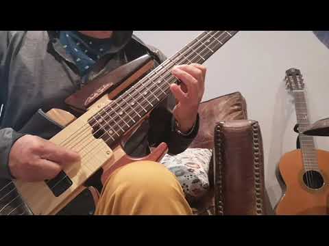 How insensitive (Antonio Carlos Jobim) cover by Dominique DI PIAZZA