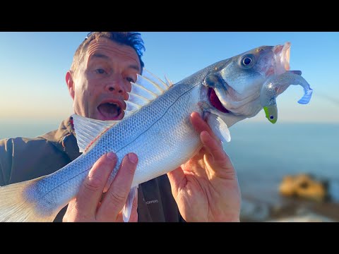 10 Tips to catch more Bass on Lures