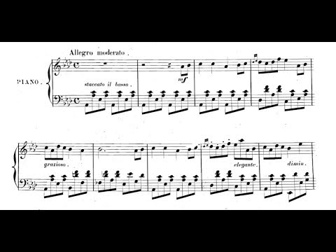 L. M. Gottschalk - Columbia (Caprice américain), Op.34 - Alan Feinberg Piano