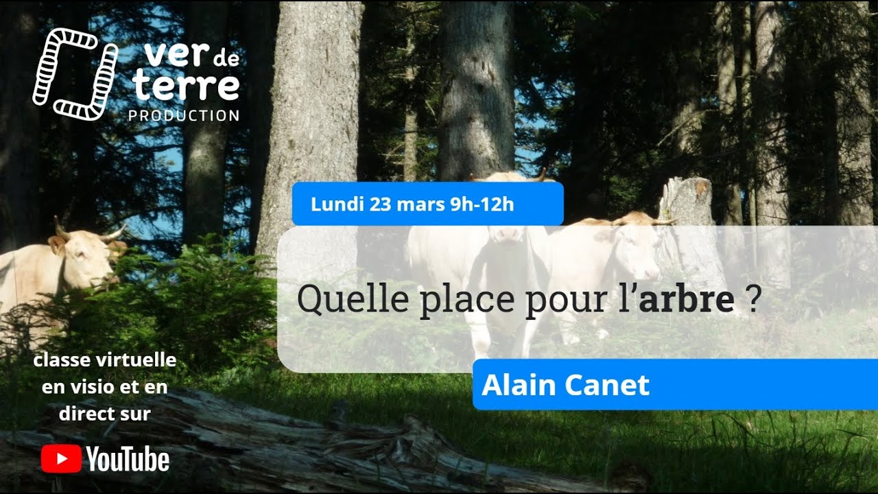 Quelle place pour l'arbre ? avec Alain Canet
