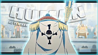 Download lagu [4K] Whitebeard EDIT - ONLY HUMAN AFTER ALL [ EDIT / AMV ] mp3