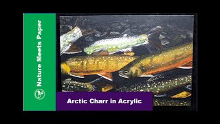 Download Lagu Arctic Charr - Nature Meets Paper Thumbnail