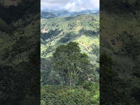 #fresnotolima  #casabianca  #fincascafeteras🚴🏽‍♀️🚴🏽‍♀️👌✨🌄❤️‍🩹🙏🏻🥰