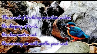 Download lagu Suara gemericik air pegunungan, kicauan burung, air yang jernih. mp3 Download lagu Suara gemericik air pegunungan, kicauan burung, air yang jernih. mp3