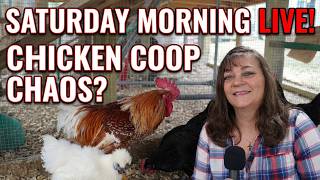 Live Coop Chat: Chicken Q&A