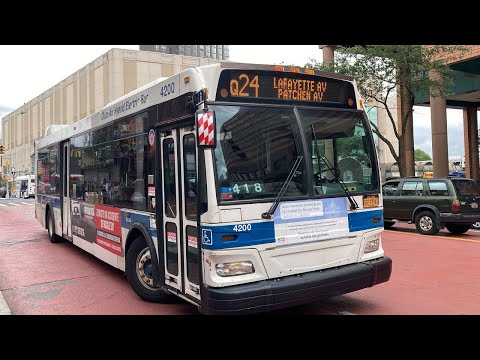 Q24 Bus