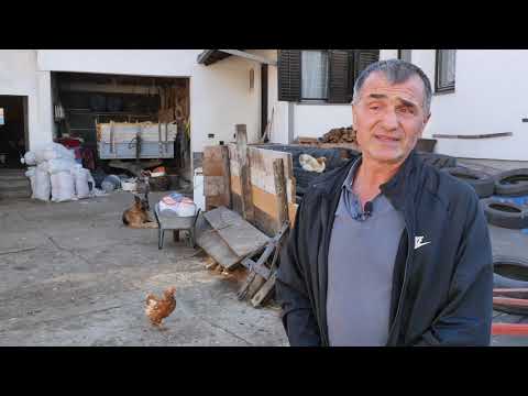 Naša priča ep. 221 14.11.2019. - Mlečno govedarstvo, Snegotin, Golubac