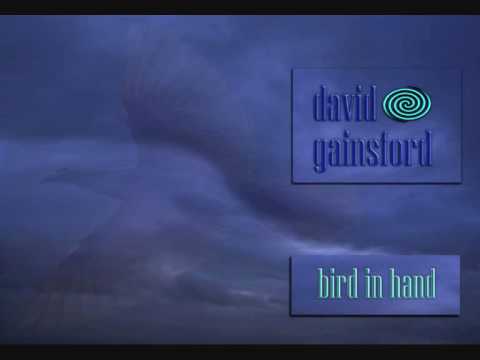 david gainsford - bird in hand