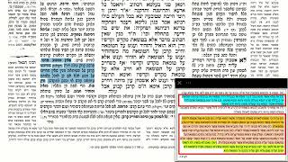 דף יומי מסכת שבועות דף ז Daf yomi Masechet Shevuot page 7  ע"י יוני גוטמן (שיעורי הדף היומי ב-20 דקות – מועבר ע"י ר' יוני גוטמן – לעילוי נשמת אביו ר' אלימלך צבי (צביקה) גוטמן ז"ל) - התמונה מוצגת ישירות מתוך אתר האינטרנט יוטיוב. זכויות היוצרים בתמונה שייכות ליוצרה. קישור קרדיט למקור התוכן נמצא בתוך דף הסרטון