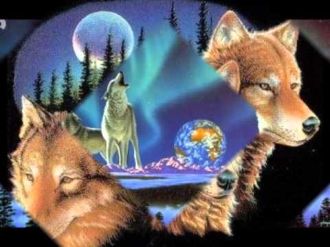 Wild Wolf Calling Me---Tony Joe White & Emmylou Harris