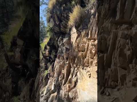 #youtubeshorts #nitika#kasoldiaries