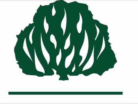 Achei um bom Amigo - HNC 113