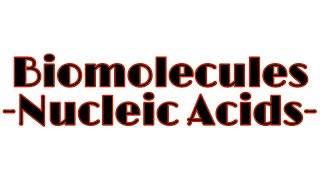 Nucleic Acids structure | Biomolecules