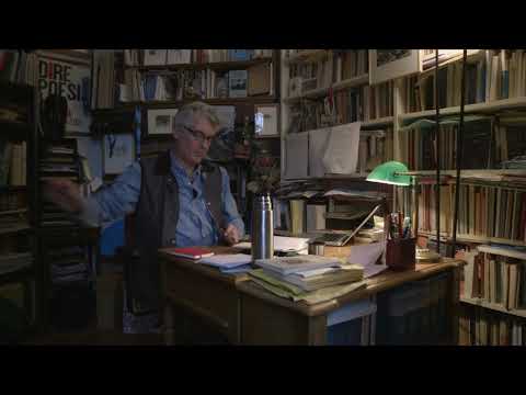 Libellula gentile. Fabio Pusterla, il lavoro del poeta