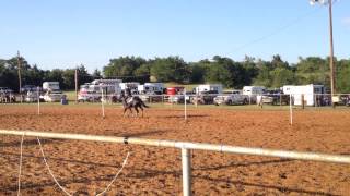 preview picture of video 'Quarter Horse Poles - Sierra Stammen at Farmersville Riding Club'