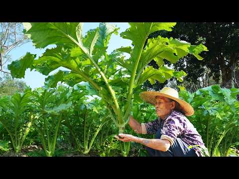 Grandma makes handmade sauerkraut and traditional delicacies｜Guangxi Grandma