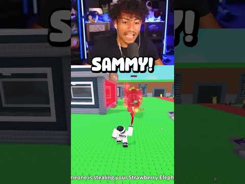 SAMMY STEALS FOLTYN'S OG STRAWBERRY ELEPHANT..