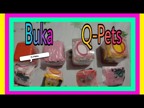 Buka Q-Pets - Nashifa Channel