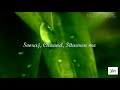 Phoolon Ki Mehkar Me Wo Naat For Whatsapp Status