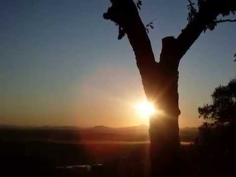 PETR MUK - SLUNCE (SLUNOVRAT)