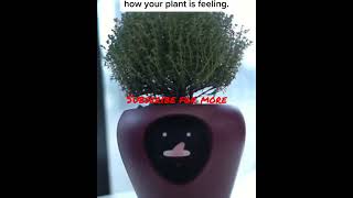 gadget which tells you how plant is feeling😯😍😜#shorts#viral video# youtube channel#shorts#trending