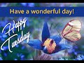 Happy Tuesday Video - Happy Tuesday Wishes