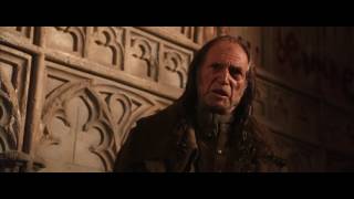 Harry received the blood book, and mistakenly killed the cat video