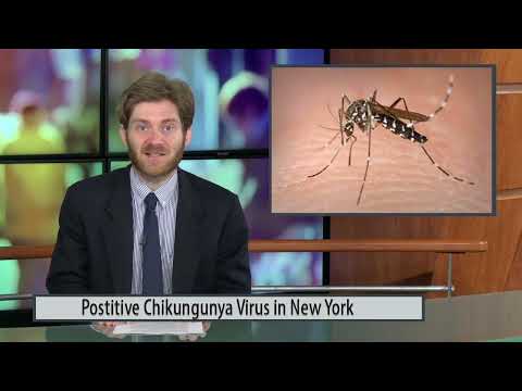 NY Chikungunya Virus