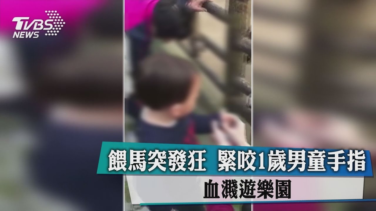 血濺遊樂園！餵馬突發狂　緊咬1歲男童手指　