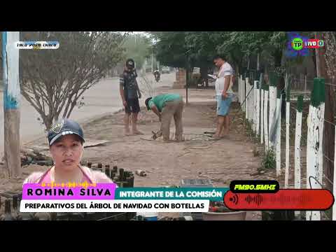 TACO POZO CLUB LA VERDE PREPARATIVOS DEL ÁRBOLITO DE NAVIDAD 