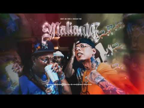 Maliante - @OmyDeOro x @RochyRD  [Official Audio]