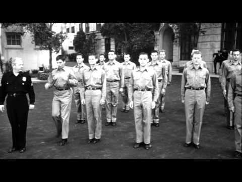 afbeelding Delicate Delinquent, The