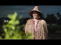 Why Cedar Is Sacred To Pacific Northwest Tribes