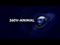 360V Animal