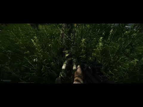 Eagle Eye at Shoreline Path to Lighthouse