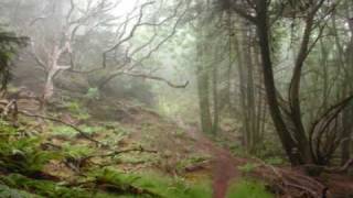 Trip to the Poison Glen