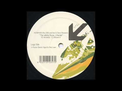 Microfunk aka 2000 And One & Dave Ellesmere - Pecan (Danilo Vigorito Rmx)