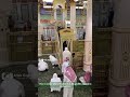 Riaz Ul Jannah Madina Masjid Nabawi History Ziyarat Shorts Masjidnabawi Madina Youtubeshorts