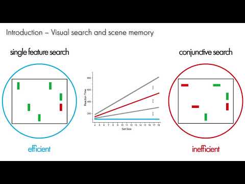 Cognitive Science Workshop 2020 - Visual Search and Scene Memory