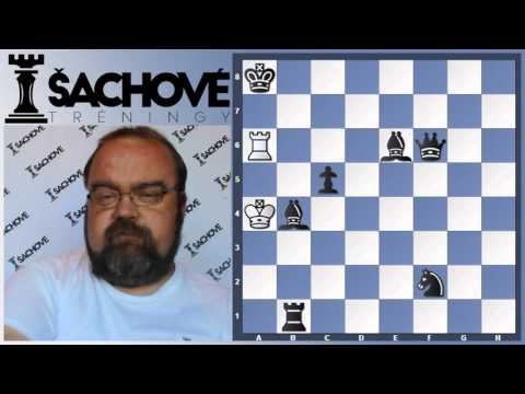 Peter Paleček - "Tichý ťah"