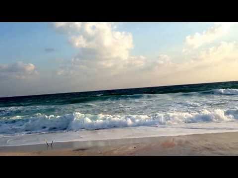 delisha beach,socotra island