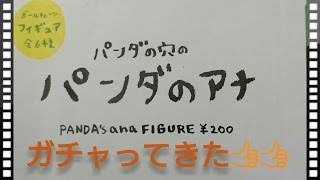 【ガチャ】パンダの穴のアナをガチャって来た！